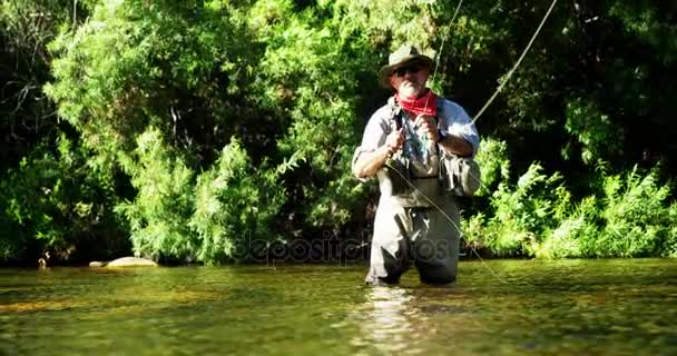 Man fly fishing in river — Stock Video