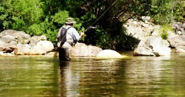 Man flyga fiske i floden — Stockvideo