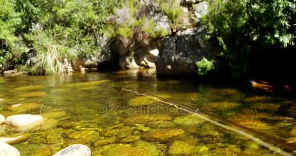 Рыбак кладет удочку в реку — стоковое видео