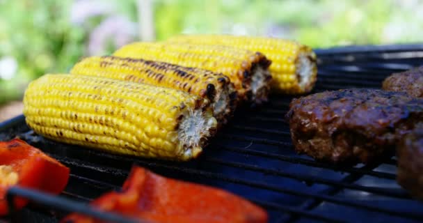Grilling meat and vegetables on barbecue — Stock Video