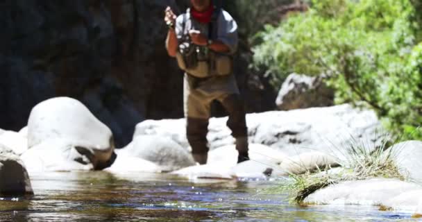 Pêcheur mouche pêche dans la rivière — Video