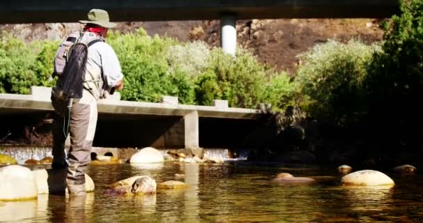 Man flyga fiske i floden — Stockvideo