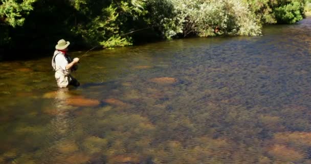 Uomo pesca a mosca nel fiume — Video Stock