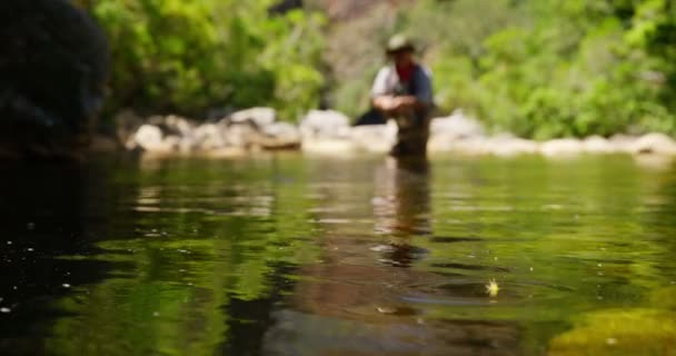Fiskaren flugfiske i floden — Stockvideo