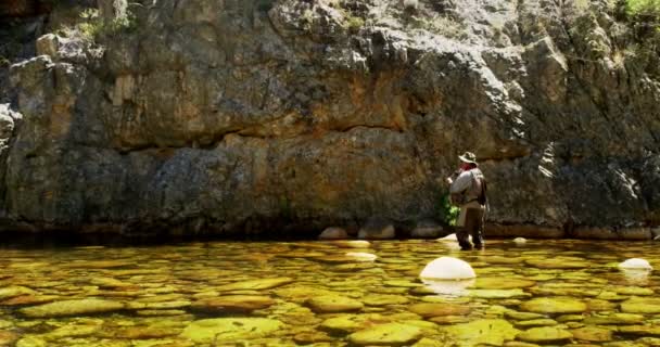 Nelayan terbang memancing di sungai — Stok Video