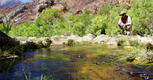 Fisherman fly fishing in river — Stock Video