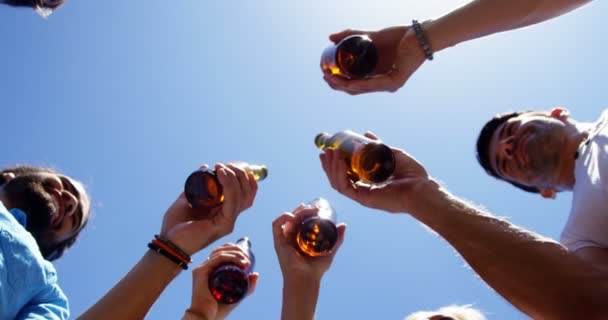 야외 바베 큐 파티에서 맥주 병을 홀 짝 하는 친구의 그룹 — 비디오