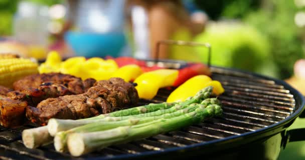 Grilling meat and vegetables on barbecue — Stock Video