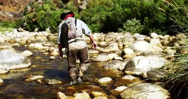 Pescador a mosca caminando en río con caña de pescar — Vídeos de Stock