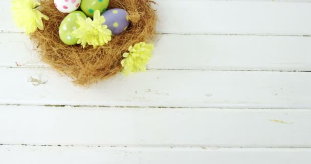 Huevos de Pascua pintados en el nido — Vídeos de Stock