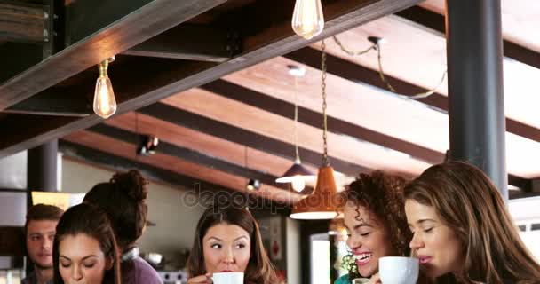 Grupo de amigos interactuando mientras toman café — Vídeo de stock