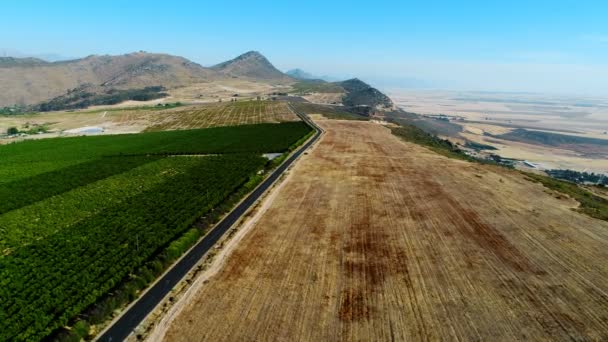 Campo verde num dia ensolarado — Vídeo de Stock