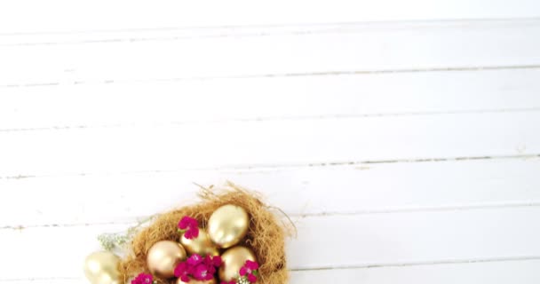 Huevos de Pascua en el nido — Vídeo de stock