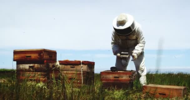 Imker bei der Arbeit im Bienenhaus — Stockvideo