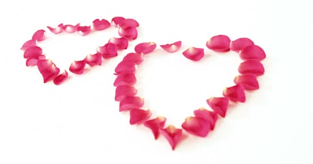 Rose petals forming heart shapes — Stock Video
