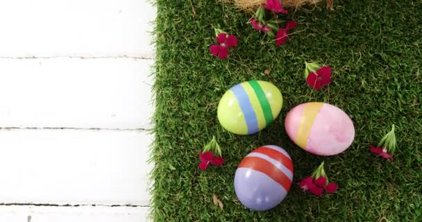 Huevos de Pascua en el nido — Vídeo de stock