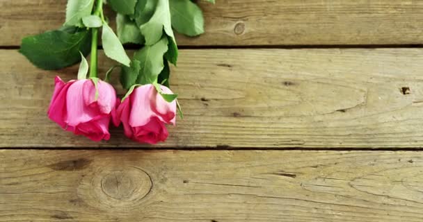 Pink roses arranged on wooden plank — Stock Video