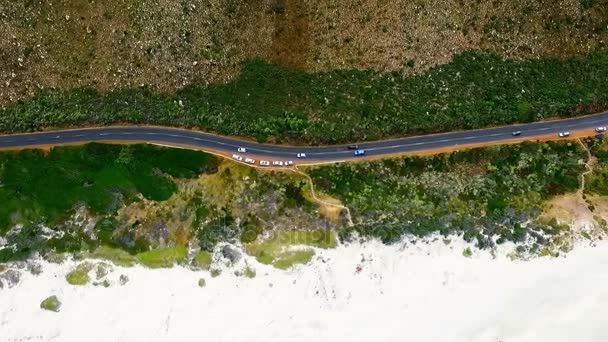 Carretera costera rodeada de vegetación — Vídeo de stock