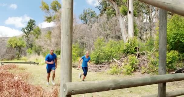 Homme et femme grimpant barres de singe — Video