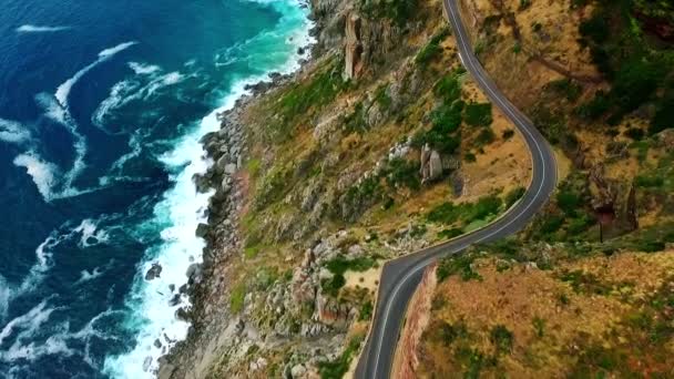 Strada costiera immersa nel verde — Video Stock