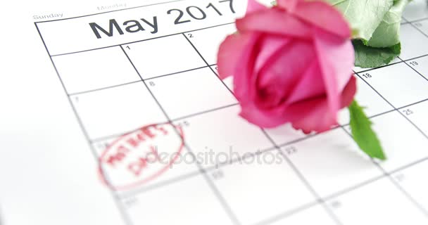 Rosa rosa en el calendario — Vídeos de Stock