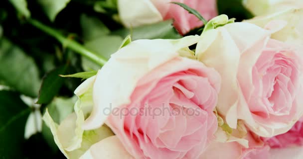Ροζ τριαντάφυλλα με ετικέτα ημέρα ευτυχισμένη μητέρες — Αρχείο Βίντεο