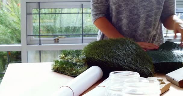 Business executive esaminando tappeto erboso artificiale — Video Stock