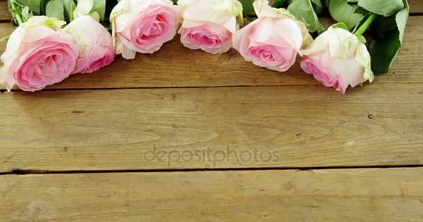 Рожеві троянди розташовані на дерев'яній дошці — стокове відео