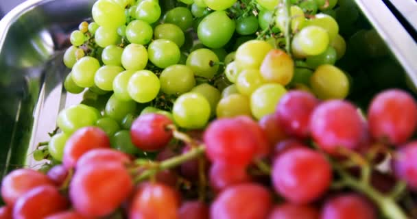 Green and red bunches of grapes — Stock Video