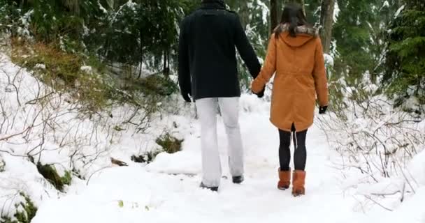 Couple marchant sur le sentier enneigé dans la forêt — Video