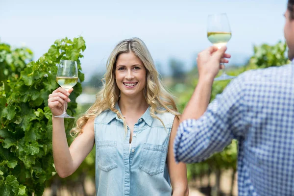 Woman with man holding wineglass — Stock Photo, Image
