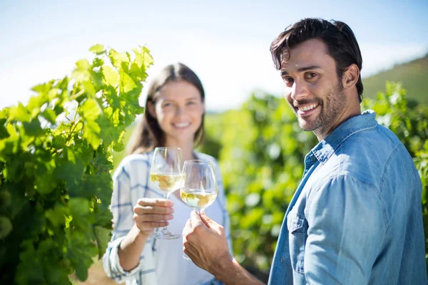 Portrait of cheerful couple toasting wineglasses — Stock Photo, Image