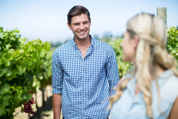 Hombre sonriente mirando a la mujer en el viñedo — Foto de Stock