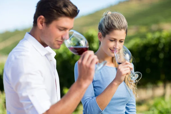 Young friends smelling wine in glasses — Stock Photo, Image