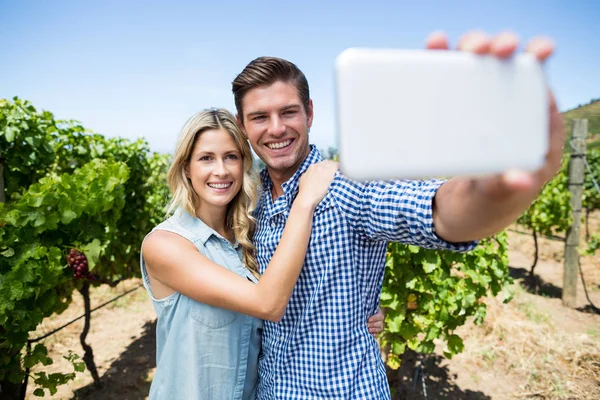 Couple taking selfie through phone at vineyard — Stock Photo, Image