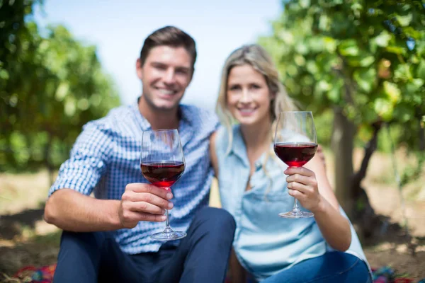 Pareja sosteniendo las gafas de vino en el viñedo —  Fotos de Stock