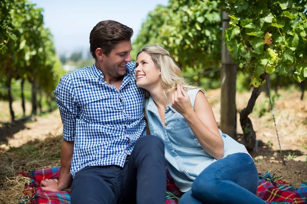 Junge schauen sich am Weinberg an — Stockfoto