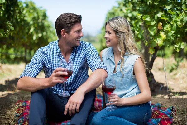 Pareja sosteniendo las gafas de vino en el viñedo —  Fotos de Stock