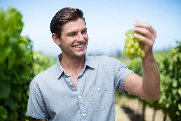 Giovane in possesso di uva — Foto Stock