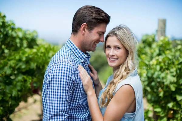 Young couple embracing at vineyard — Stock Photo, Image