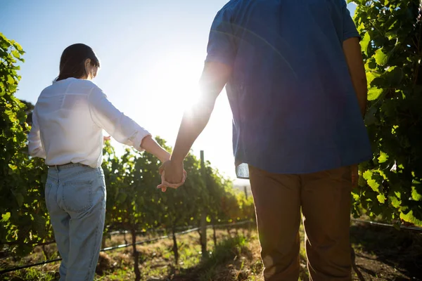 Пара держащихся за руки на винограднике — стоковое фото