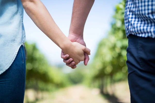 Pareja cogida de la mano en el viñedo — Foto de Stock