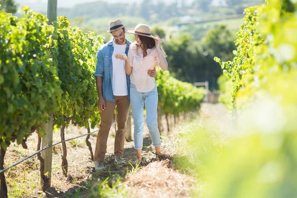 Young couple standing at vineyard — Stock Photo, Image