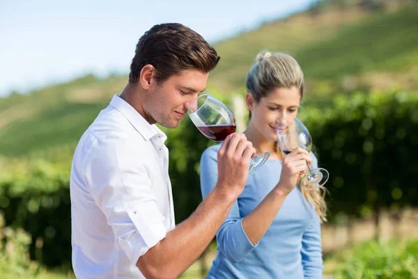 Young friends smelling wine in glasses — Stock Photo, Image