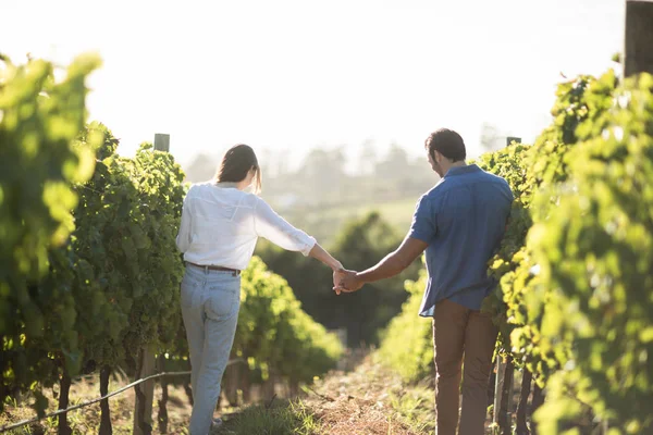 Pareja cogida de la mano en el viñedo —  Fotos de Stock