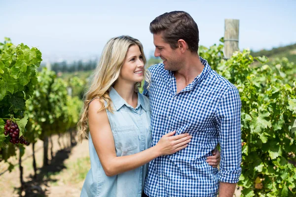 Couple looking at each other while embracing at vineyard — Stock Photo, Image