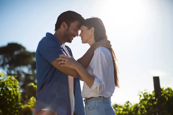 Pareja cara a cara de pie en el viñedo —  Fotos de Stock