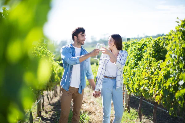 Couple with holding hands toasting wineglasses — Stock Photo, Image