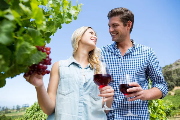 Pareja sosteniendo las gafas de vino en el viñedo —  Fotos de Stock