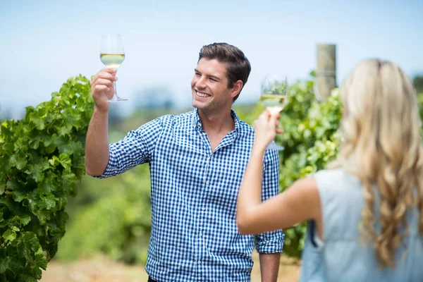 Pareja levantando las manos mientras sostiene las gafas de vino —  Fotos de Stock